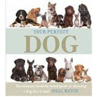 perfectdog perfectdog